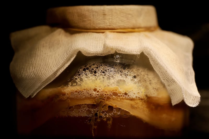 Fermentation Craze
